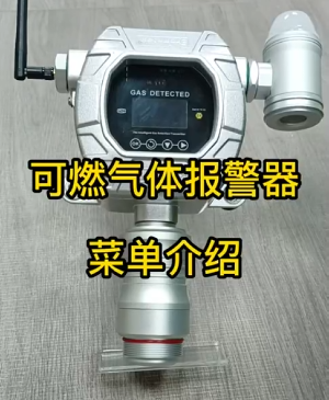 ����ʽ��ȼ���屨����MIC-600-L-Ex-A